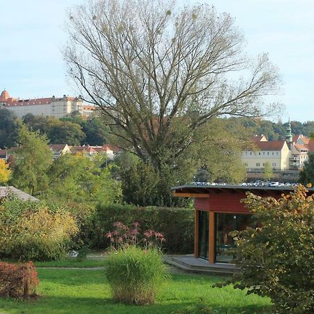 Ferienoase Apartment Pirna Bagian luar foto